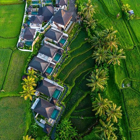 Dewi Kunti Villa Tegallalang  Exterior foto