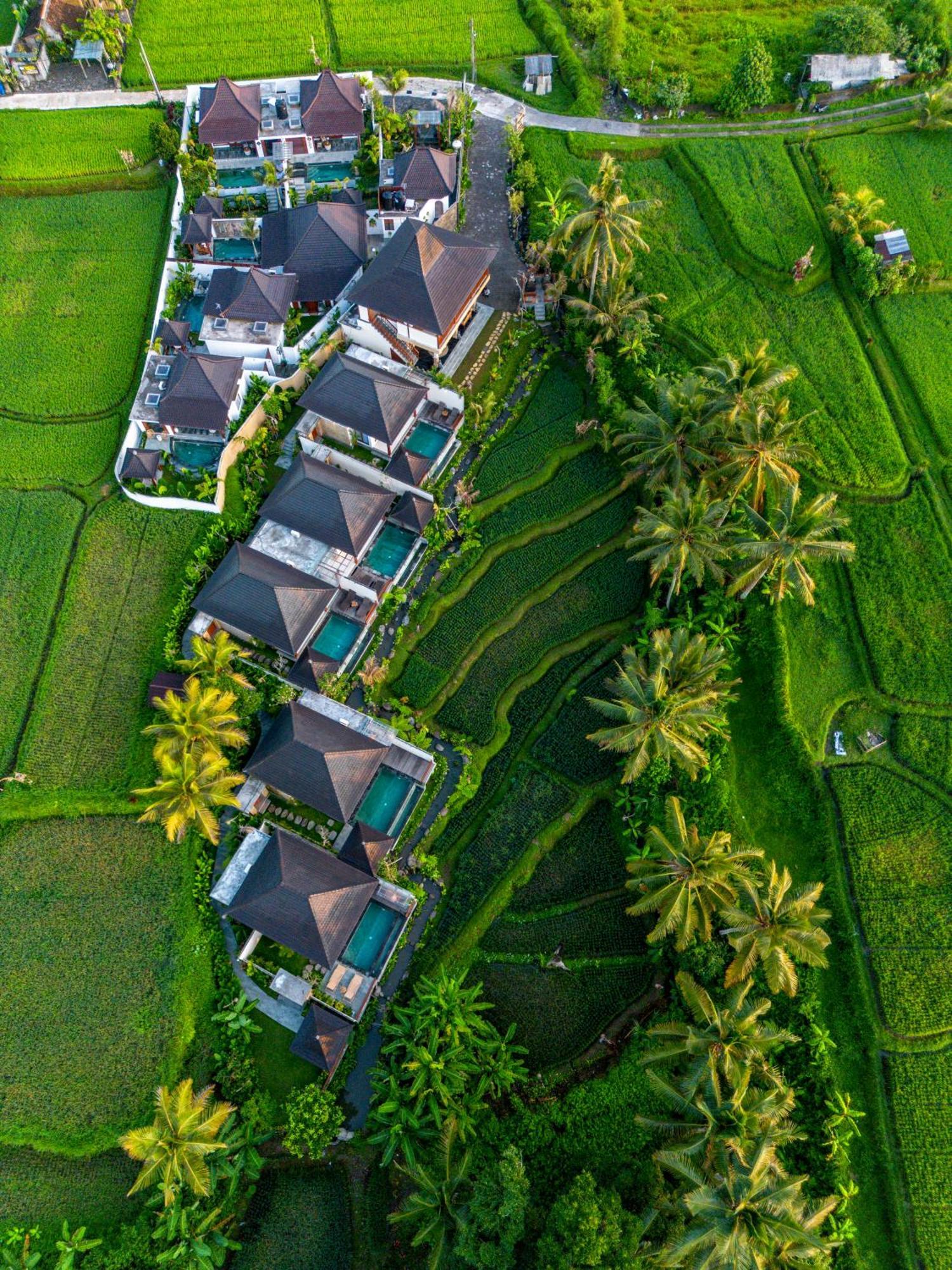 Dewi Kunti Villa Tegallalang  Exterior foto